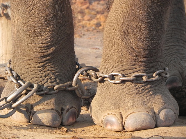 chained-feet